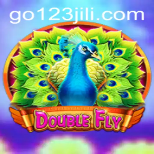 DoubleFly: A Thrilling New Gaming Experience